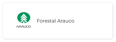 forestal-arauco